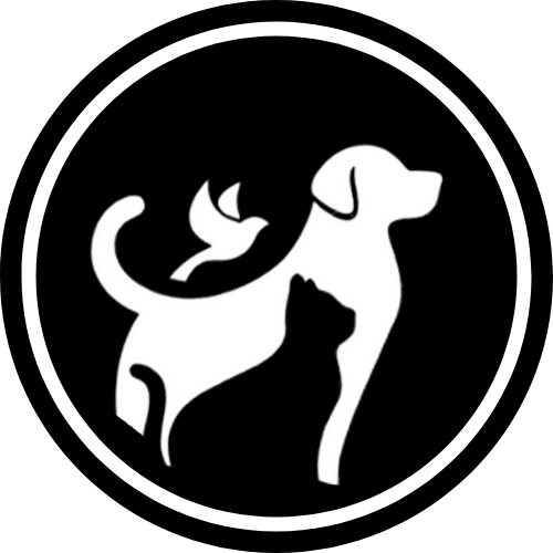 demo.beepolor.com